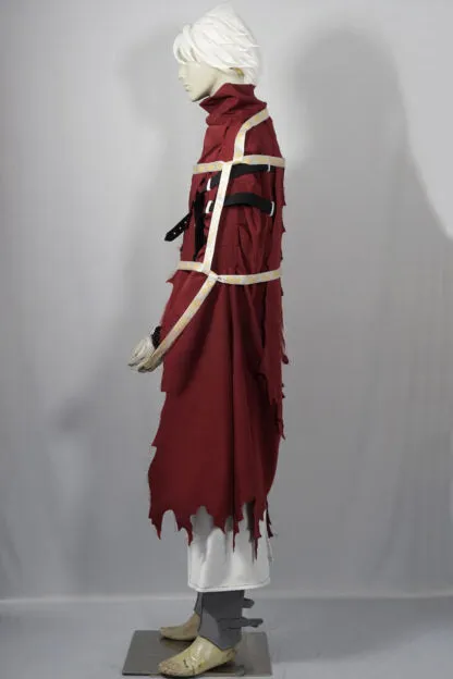 Licht Bach Cosplay Costume